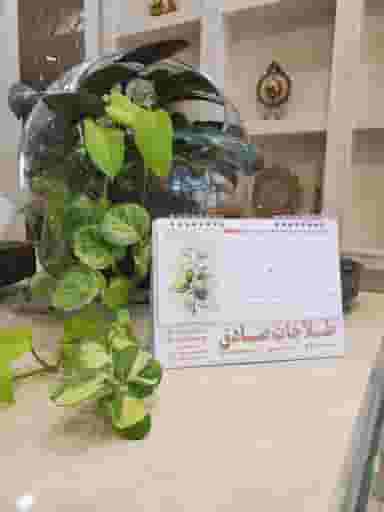 طلاجات صادق در شهید آوینی مشهد