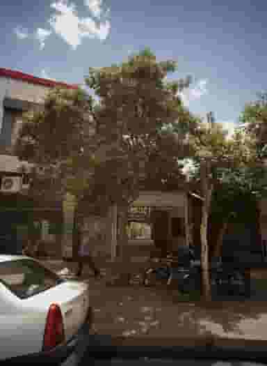 طلاجات مروارید در شهید آوینی مشهد