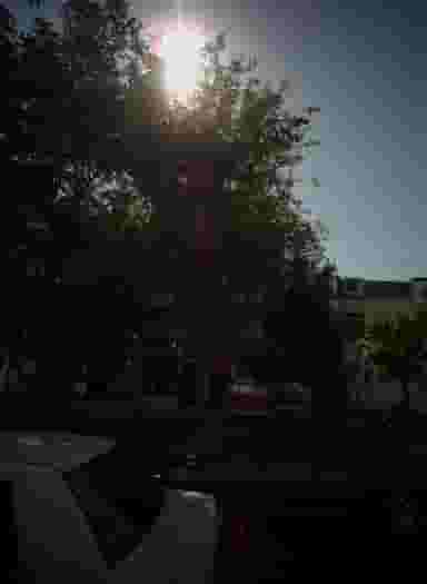 فروشگاه گلباران در آبکوه مشهد