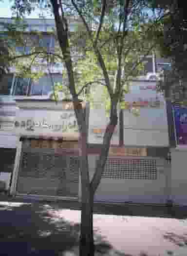 جواهری برادران هادی زاده در 10 دی مشهد