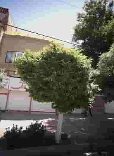 طلا و جواهر قدرتی در هنرور مشهد