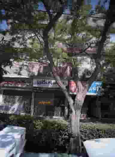 طلاجات محسنی در هنرور مشهد