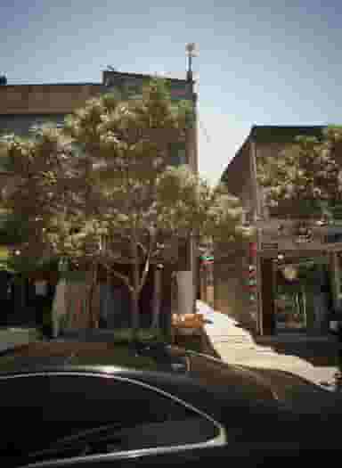 سعدی در سراب مشهد