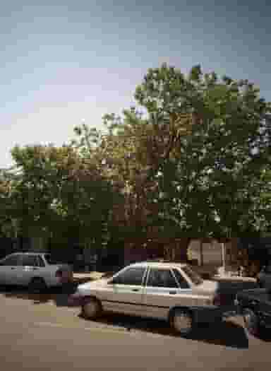 عینک فروشی در چهنو مشهد