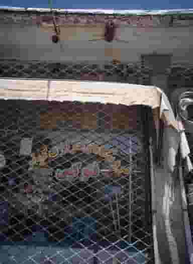 فروشگاه و خرازی کوثر در پنجتن مشهد