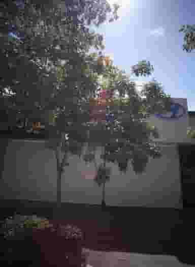 تعمیرگاه علیزاده در امام رضا مشهد