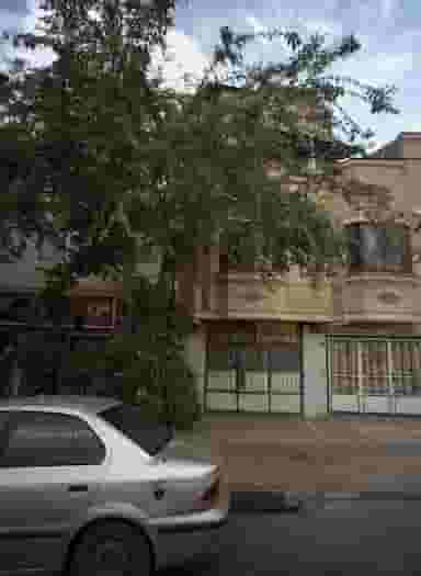 چکاپ جلوبندی علی در سجادیه مشهد