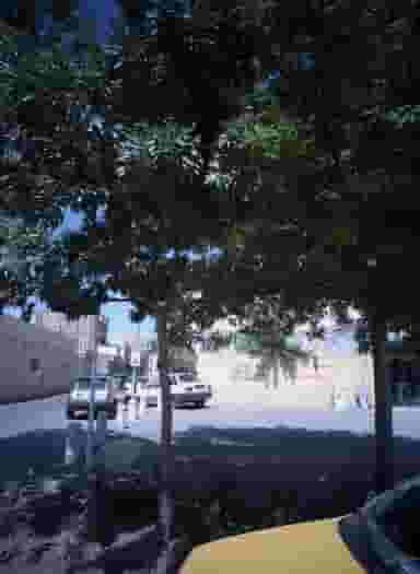 تعمیرگاه خمیرگیر در سلام مشهد