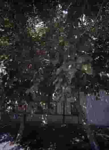 تعمیرگاه دوچرخه رضایی در فدک مشهد