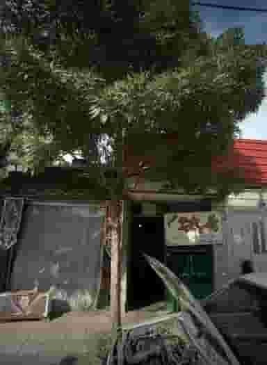 چکاپ جلوبندی اصغر در رضاییه مشهد