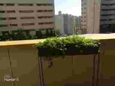 هتل آپارتمان ستاره آرمان توس در پایین خیابان مشهد