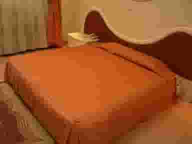 هتل پارک هتل شیراز در بازار شیراز