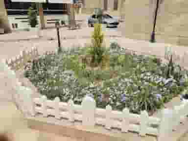 هتل المپیک شیراز در پای کتا شیراز