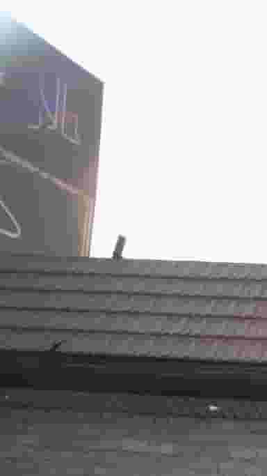 تالار گلنوش شهرک منظریه کرج