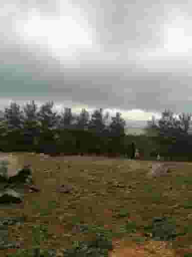 تالار پذیرایی گل یاس کرمانشاه