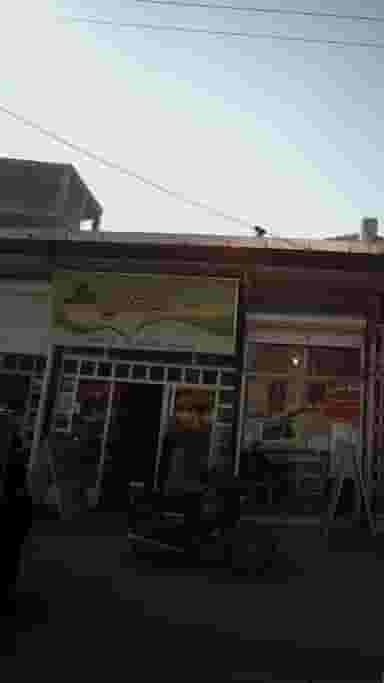 عطاری تحفه رضوان در حکیم آباد بابل