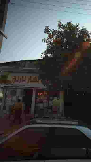 بهار نارنج در حکیم آباد بابل