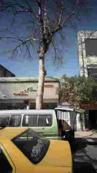 گیاهان دارویی اسلام و سلامت در اصفهانی ساری