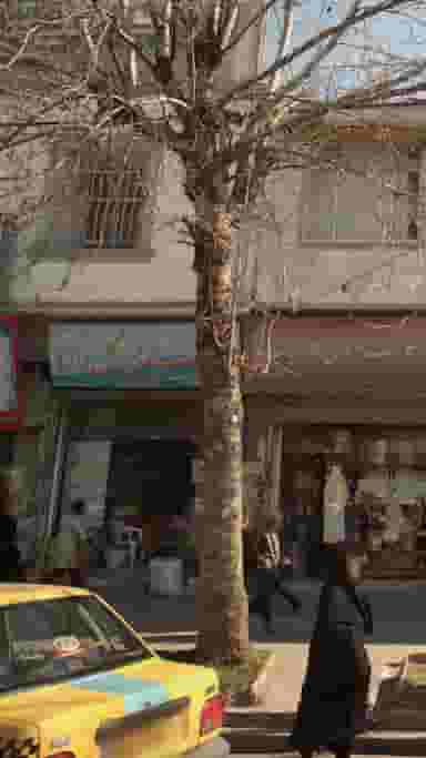 عطاری گل دارو پل گردن ساری