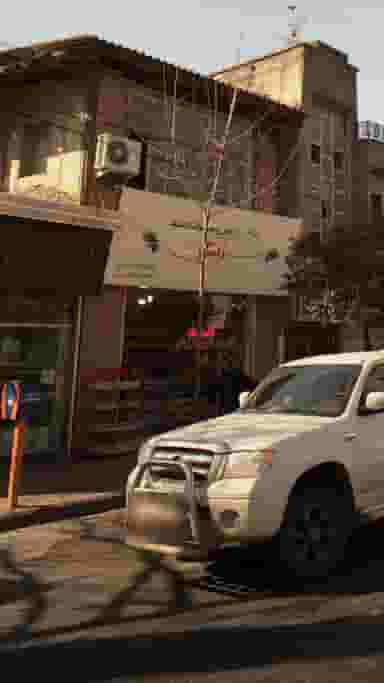 گیاهان دارویی ژینکو در اصفهانی ساری