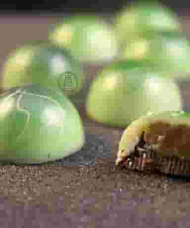 آموزشگاه قصر آبنباتی آناهید در رضاشهر مشهد