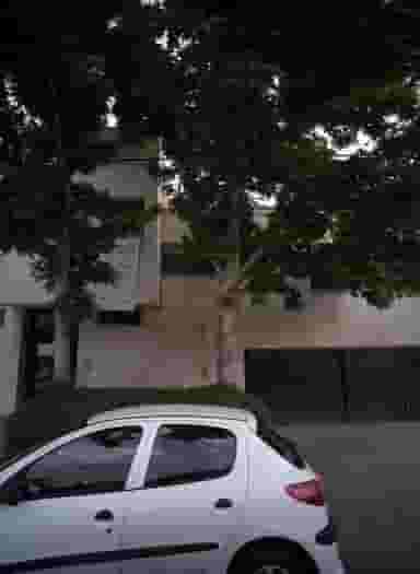 موسسه زبان انگلیسی علامه در فلسطین مشهد