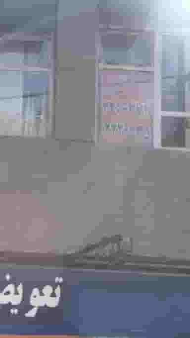 مجتمع آموزشی بهار کرج در مصباح کرج