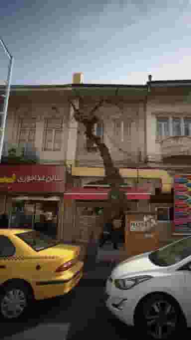 مجتمع آموزشی بهداشت گیل سلامت در رودبارتان رشت