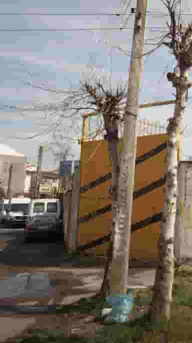 آموزشگاه اتومکانیک نوین گیلان کوی امام رضا رشت