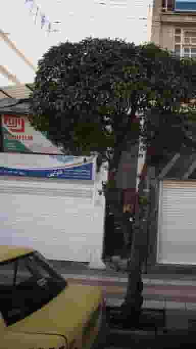 کتاب فروشی و نوشت افزار امام خمینی (ره) در شاهاندشت آمل