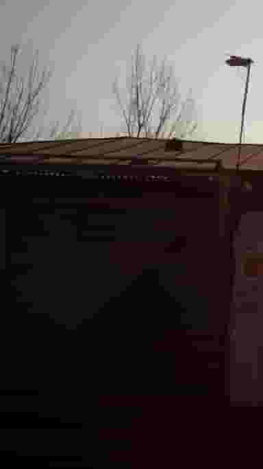 مکانیکی دوستان در کاظم بیگی بابل