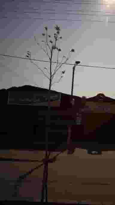 صافکاری و اگزوزسازی عباس علی نژاد و پسران در موزیرج شمالی بابل