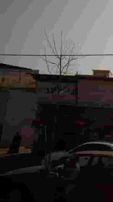 رادیاتور سازی موسوی در موزیرج شمالی بابل