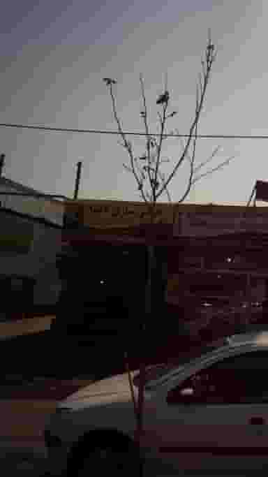 رادیاتورسازی نامدار در موزیرج شمالی بابل