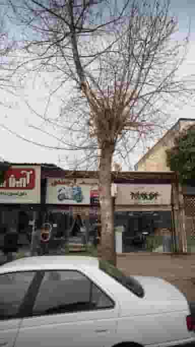 لوازم موتورسیکلت ارجمندی در فادی محله آمل