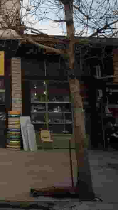 تزئینات اتومبیل آرش در ملت آباد آمل