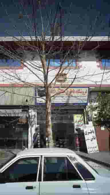 فروشگاه باطری طالبی سنگدهی شعبه2 در طبرسی ساری