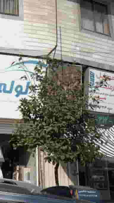 موبایل رضا در مراد بیگ بابل