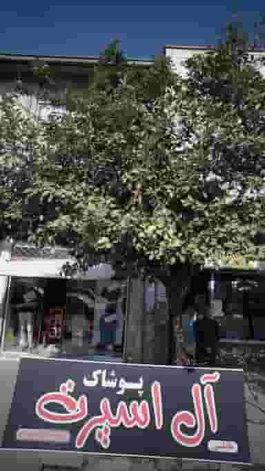 پوشاک آل اسپرت در حکیم آباد بابل