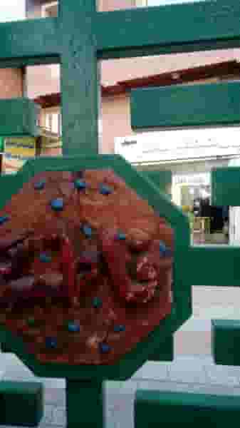 حجاب فاخر حسینی در طبرسی ساری