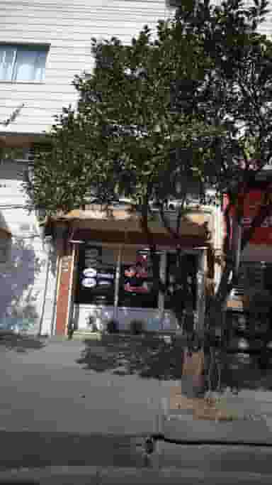 مشاور املاک کلبه در گله محله بابل