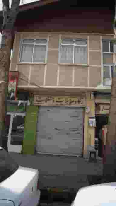 چای جاماسبی در کوشالی لاهیجان