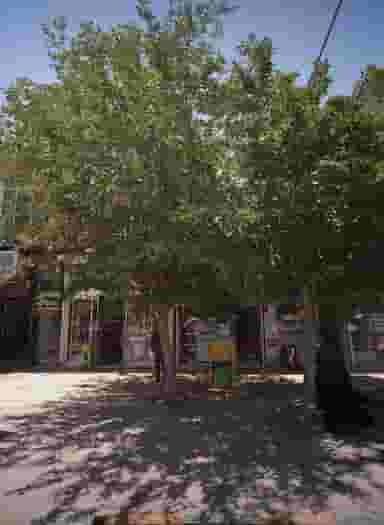 فروشگاه آرایشی و بهداشتی در خواجه ربیع مشهد