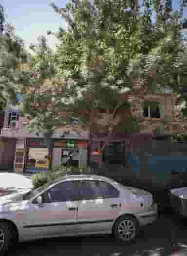 آرایشی رشیدیان در نوغان مشهد