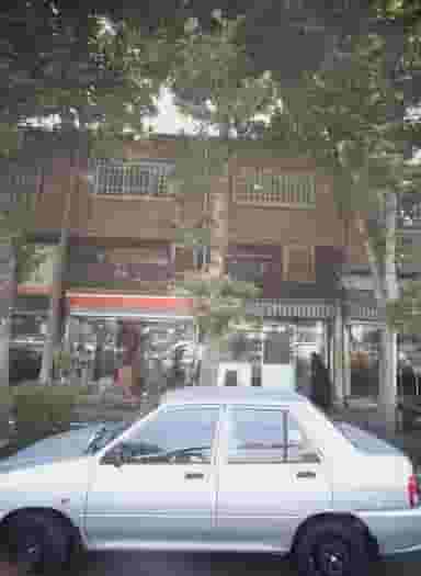 فروشگاه گل نرگس در صاحب الزمان 