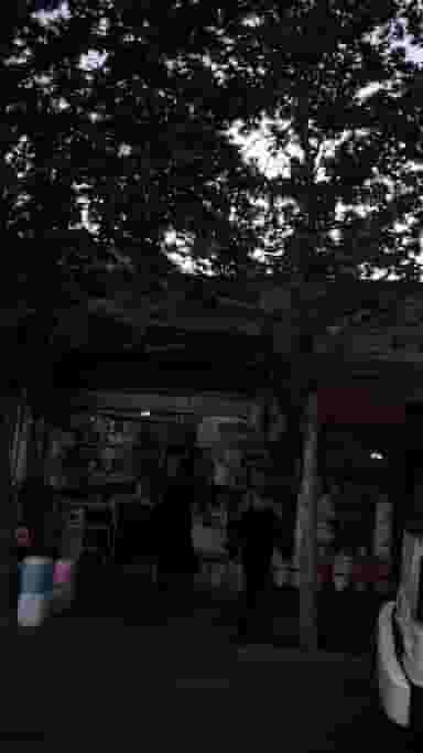 اعتضادی در مولوی 