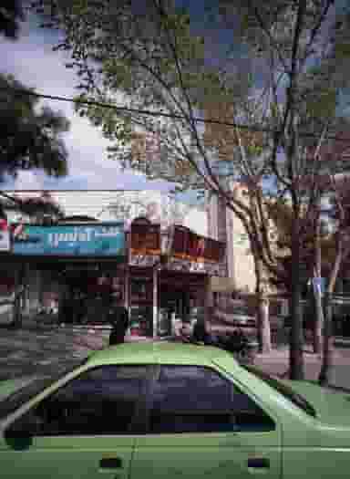 گل یخ در تهرانپارس غربی 