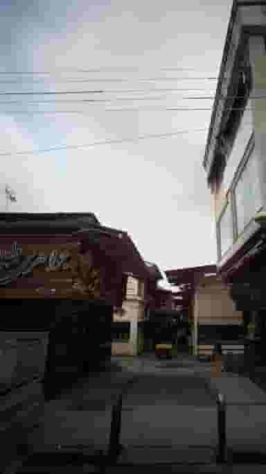 جواهری طلاییه در شاهاندشت آمل