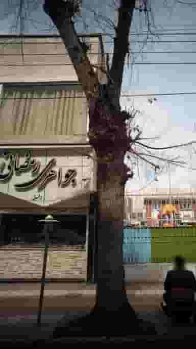 جواهری رمضانی در گرجی محله آمل