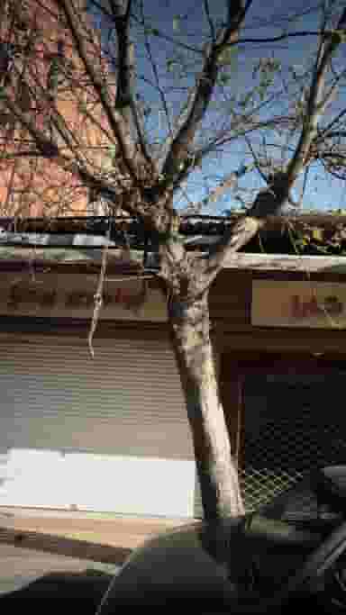 جواهری بردیا در شاهاندشت آمل